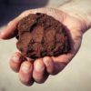 Best Soil Amendment for Clay