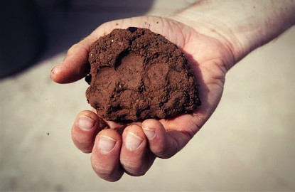 Best Soil Amendment for Clay