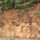 Fix Clay Soil