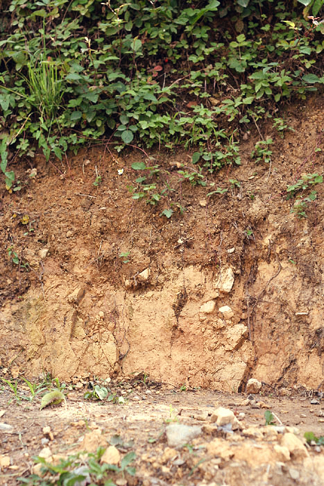 Fix Clay Soil