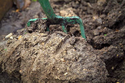 Getting the Most out of Your Hard Clay Soil
