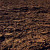 Soil Repair