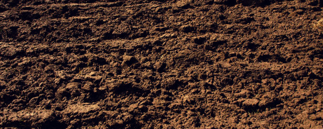 Soil Repair
