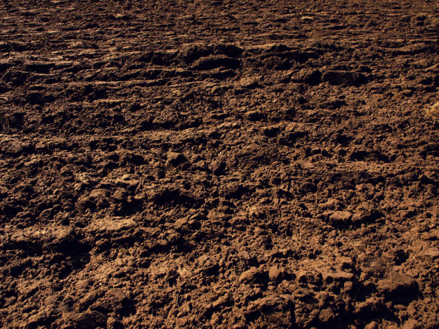 Soil Repair