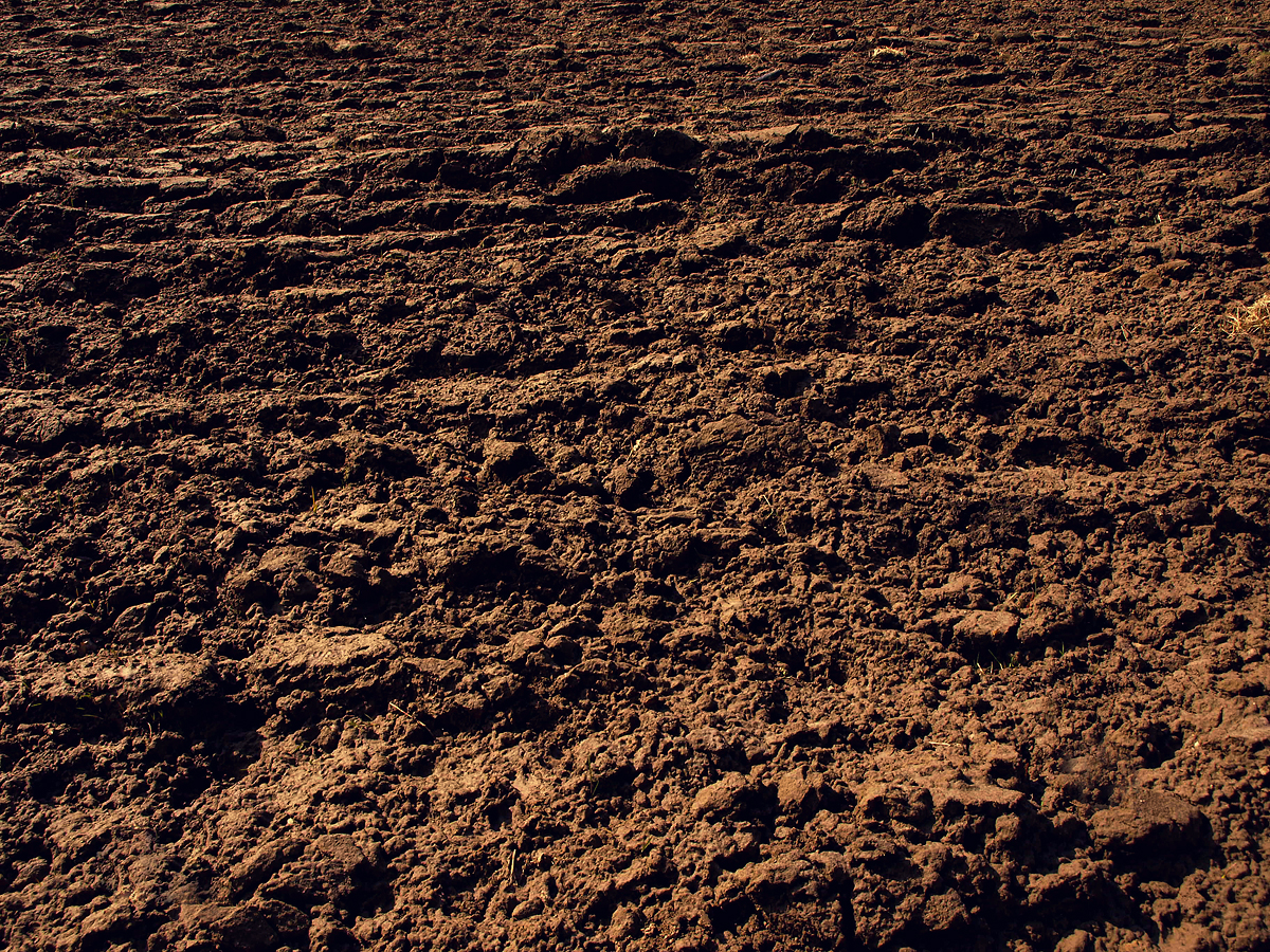 Soil Repair