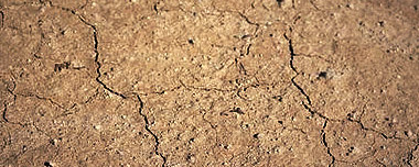 Unleash the Potential of Your Hard Clay Soil