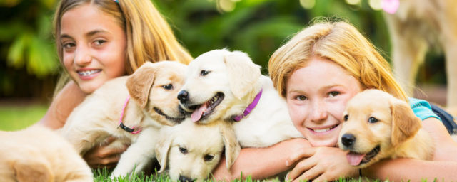 Girls with Puppies on Lawn