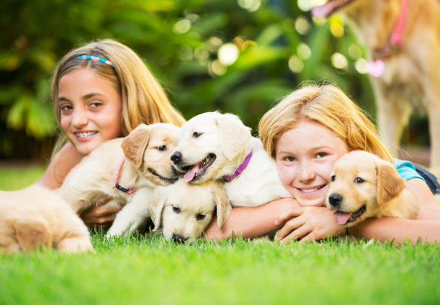 Girls with Puppies on Lawn
