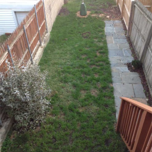 Baltimore - Dog Urine Spots - Oct 2014