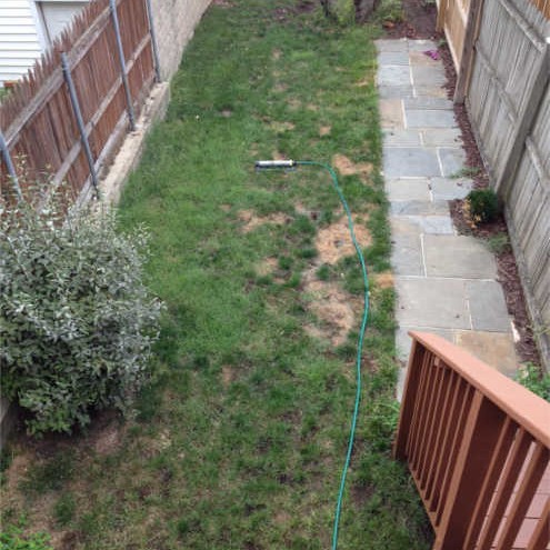 Baltimore - Dog Urine Spots Sept 2104