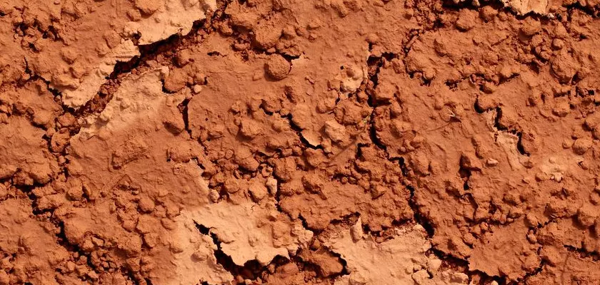 mærkelig nabo Making Georgia Red Clay - HumicGreen, LLC