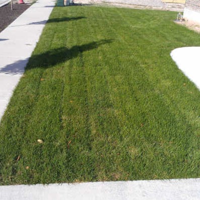 FRONT LAWN - OCTOBER 2014