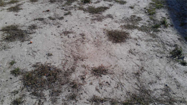 HARD CLAY SOIL PRIOR TO LAYING SOD - SEPT 2014