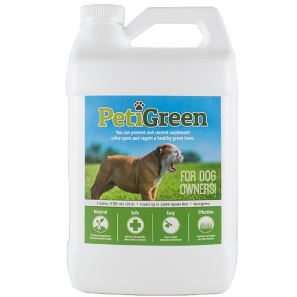 Can You Stop Dog Urine From Killing Grass Can You Stop Dog Urine From Killing Grass