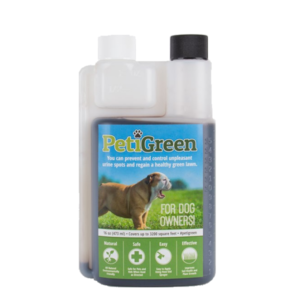 Can You Stop Dog Urine From Killing Grass Can You Stop Dog Urine From Killing Grass