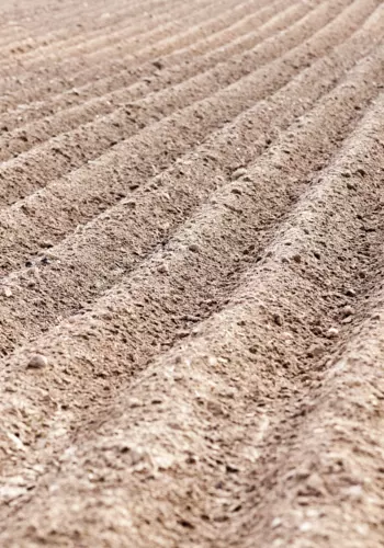 plowed-sand SSUCv3H4sIAAAAAAAEAH1Sy2rDMBC8F/oPRmcbIseum5xLoYd+QehhLW0SYVkbJDmlBP97JT+oUkpvmtmdYWfQ7fEhy5iSbJ8xaLAuj4BFUwteVLu2LNoStoUUz1JyXlYgnlg+CVpwSgTNLaJooPXgvAWvyAR6ky88SuXJKtCRjNw4650HPzh0iQVo6L8C5qtWgHGeRHc5k6d0IPFCTvmJd3cDi9A7r3pM2WNY0woCtU0uEODxFE67u2GNdZhxtg6We3xs6ZVIZmBk9mKV6ViebLihXTfYSo/5P15vRsbaYj9/+LwrJ1BrMEiD+zGcHx9rPDihEbG425jEs6gR5oIP8yrrPj3afoq7LF2VREowDFJRUseVBGj3q7iLVUKZUyIjf0abYBEyUZ8Qhvx0CVt+jwzdR8i3nNebqua84VVV76ompBy/Af8W8fKTAgAA