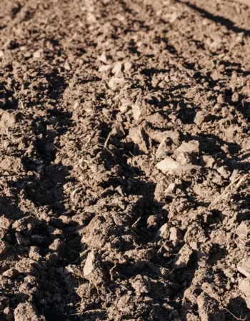 Texture of closed-up brown farm soil with breasts of earth. SSUCv3H4sIAAAAAAAEAJ2Ry26DMBBF95X6D8hrkDCPkORXoi4Ge4BRCEZ4SFVF/HttHpKz6KY73zMP3Tt+fX5EkajBkhLX6OWV09T3s+UJmMzgcBrvHDWxmQh6Dz1b1oqwDDxbtMGKmlrLRt3HzrBxPKuOJQqGPypoxzfduIaewDF5INvNzDitC9bewIUCxtbZe/exR7ttOjoKuxV2JSHigNm5XtmBlvjfk9vj6/AOLQ7qx3tbAtcT9gjb7W5bq7h/u4iPNcXe9CSNJtAwazJByqdR0PuBPNg8TqRoaIMxwx1OgVbul80jAIPh1ckeTGh3Ui9lLk+yqGRZnctzWlSXTBw/7z6CdOiVtJ9IU8AT6DJR0EBSlGmdXKpznTRYSSWbLMsxd5dafgFJE7aEgQIAAA==