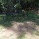 lawn brown spots pet urine