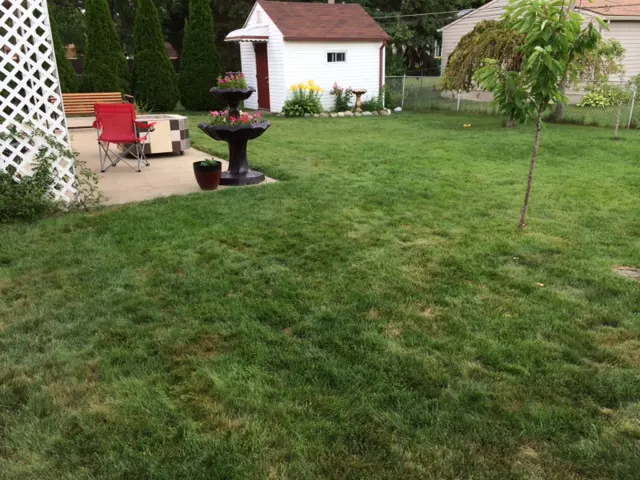 PEE SPOTS IN THE LAWN AND LAWN A LITTLE SPARSE - JULY 2014