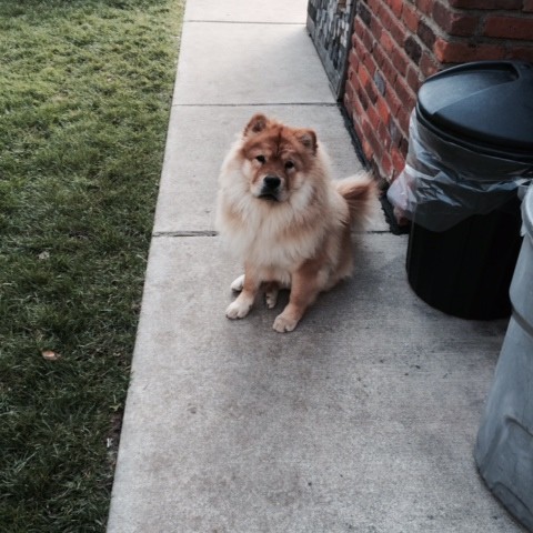 NO PEE SPOTS ALONG SIDE OF HOUSE - OCTOBER 2014