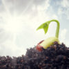 Enrich Your Soil