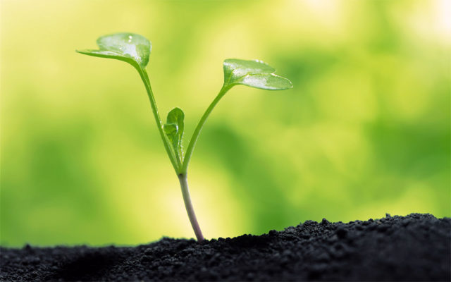 How does ClayMend “Open” the Soil?