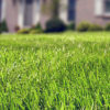 Improve Your Lawn By Improving Your Clay Soil