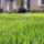 Improve Your Lawn By Improving Your Clay Soil